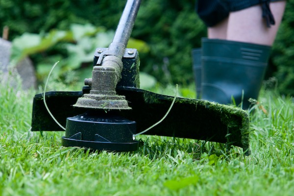 Weed Trimmer Mount Pleasant SC