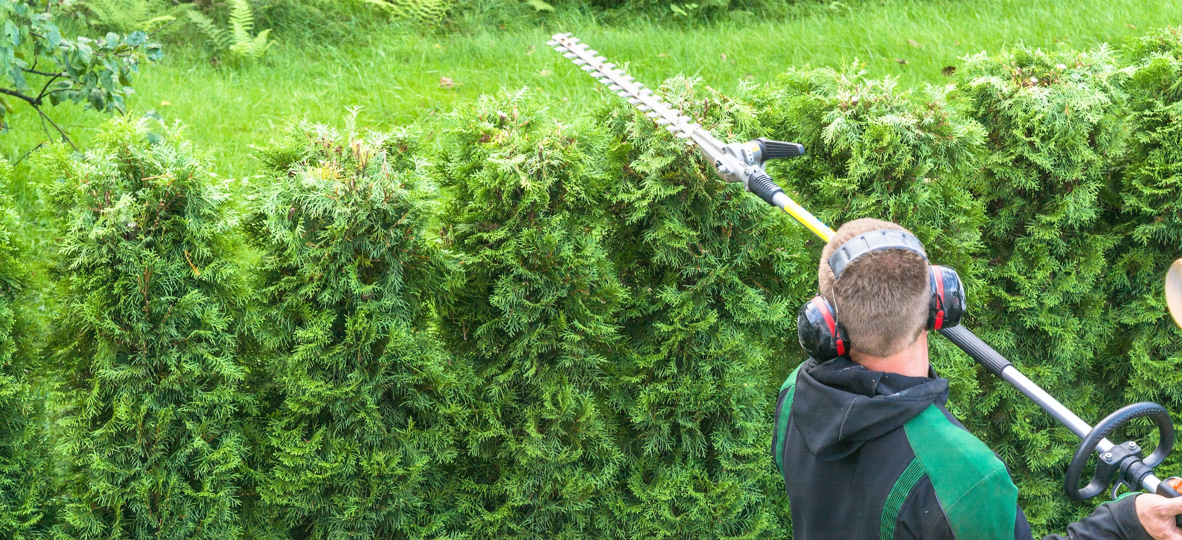 Hedge Trimming Mount Pleasant