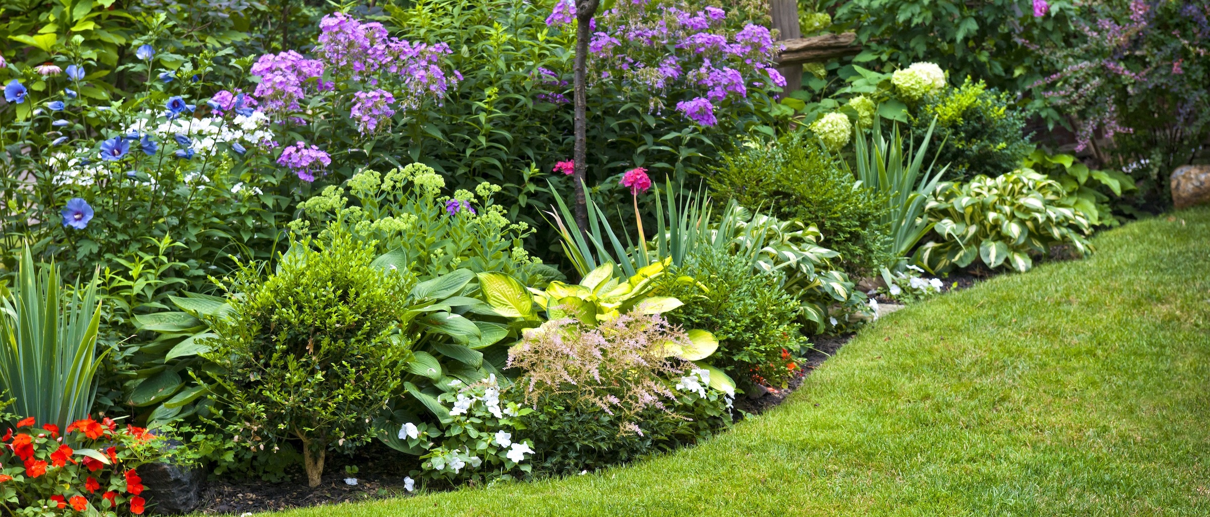 Flower Landscape Maintenance